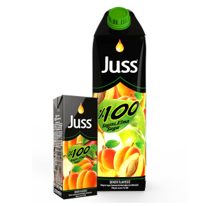 Juss 100% Apple Juice 1 L 