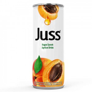 Juss Fruit Nectar Apricot (Can) 330 ml 