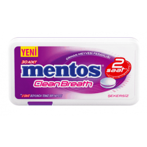 Mentos 2 Hours Clean Breath Plastic Dispenser Forest Fruit Candy 21 gr