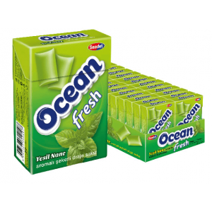 Saadet Ocean Fresh Spearmint Flavoured Sugared Dragee Gum 15 gr 