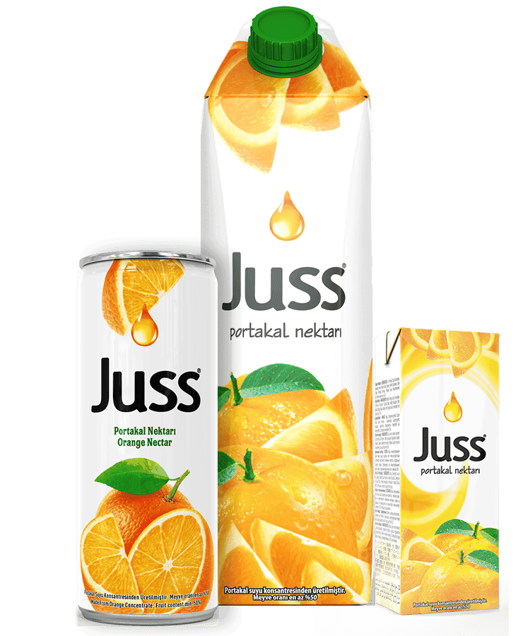 Juss Fruit Nectar Orange 200 ml 