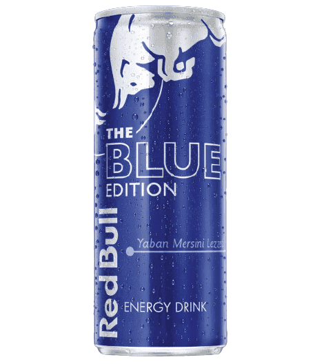 Redbull Energy Drink Blue Edition Blueberry Flavor 250 ml