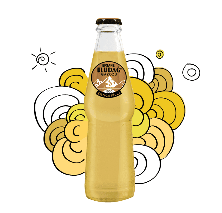 Uludağ Soda Legend Ginger 250 ml 
